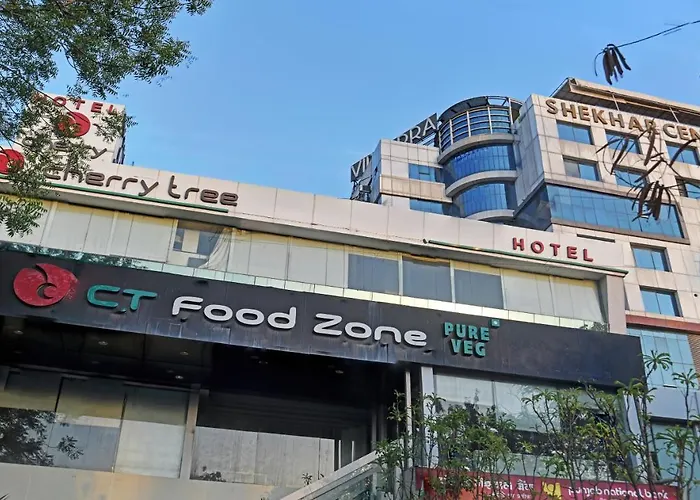 Treebo Trend Cherry Tree